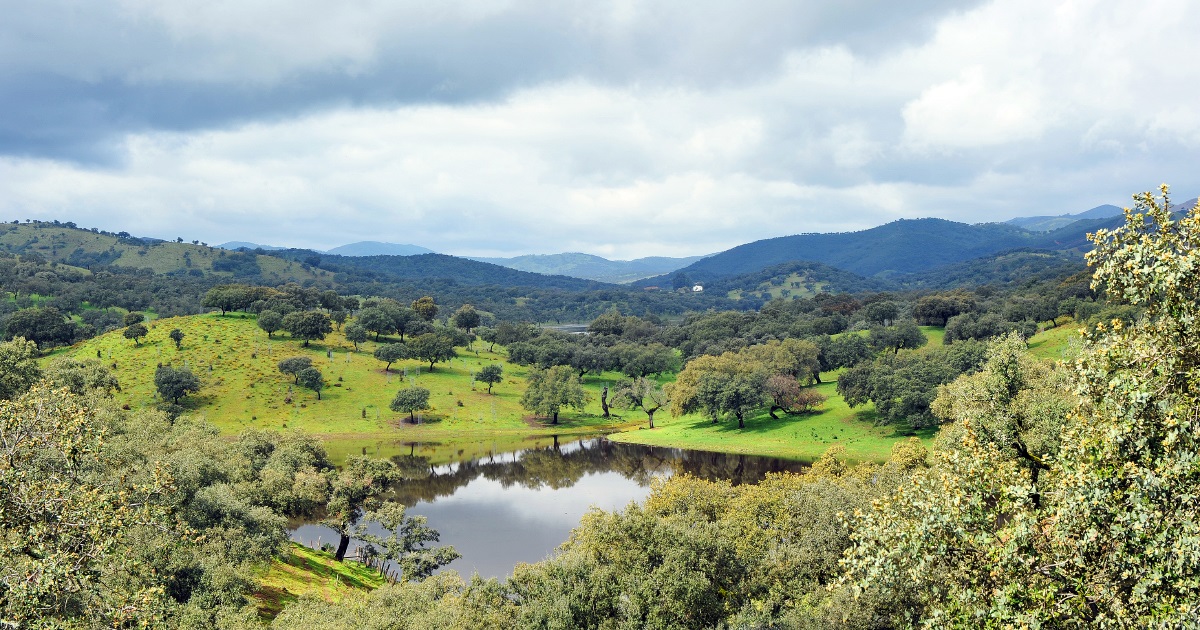 Écologie, Biodiversité, Paysage, Climat, Carbone
